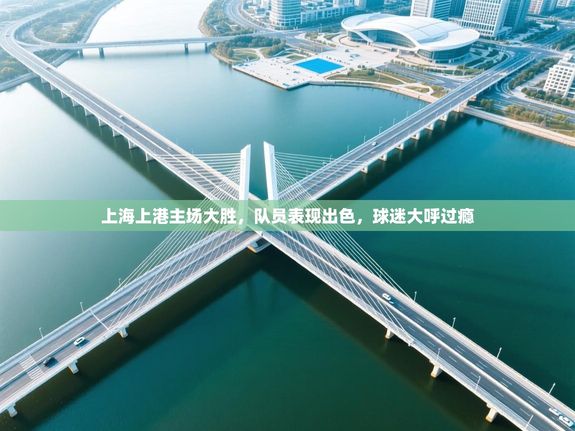 上海上港主场大胜，队员表现出色，球迷大呼过瘾  第1张