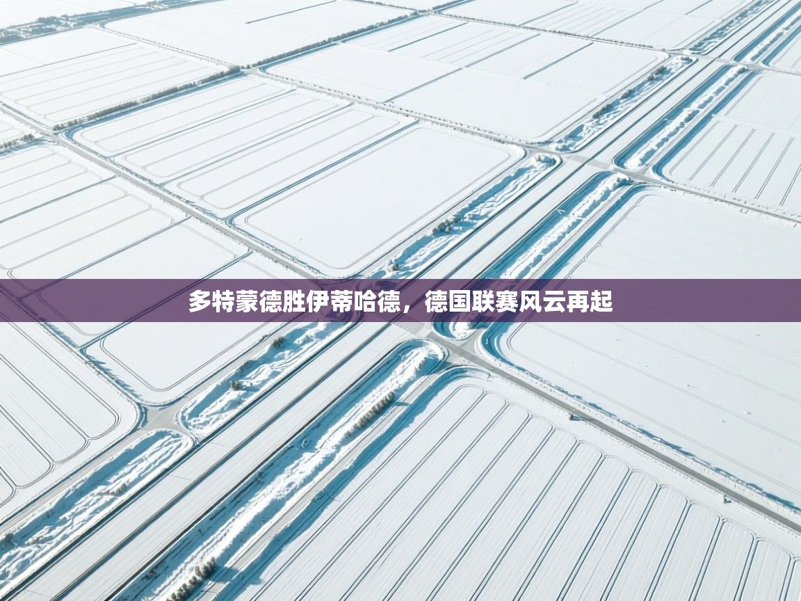 多特蒙德胜伊蒂哈德，德国联赛风云再起  第1张