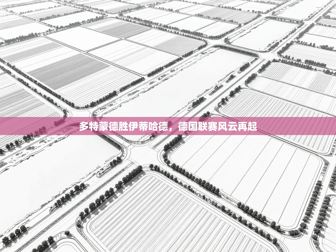 多特蒙德胜伊蒂哈德，德国联赛风云再起  第2张