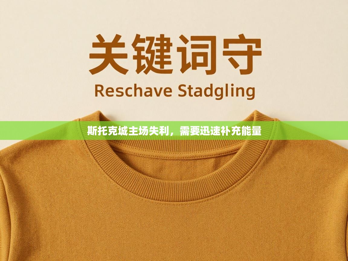 斯托克城主场失利，需要迅速补充能量  第2张